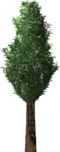 Eibe