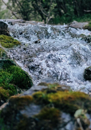 Rock Water – Felsenquellwasser