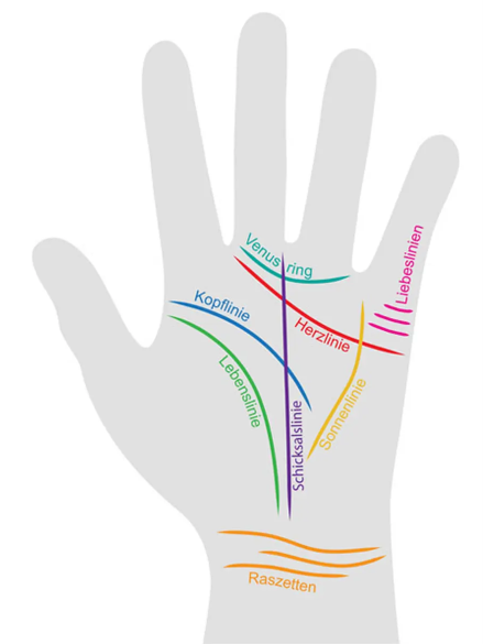 Alle acht Linien in einer Handfläche