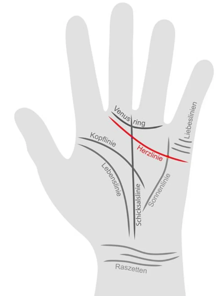 Die Herzlinie in der Handfl&auml;che