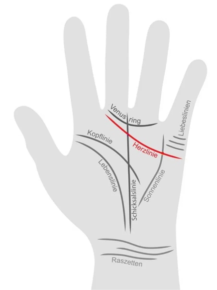 Die Herzlinie in der Handfläche