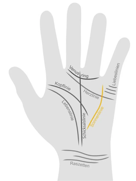 Die Sonnenlinie in der Handfläche