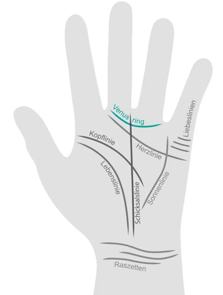 Der Venusring in der Handfl&auml;che